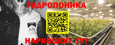 хмурый Обь