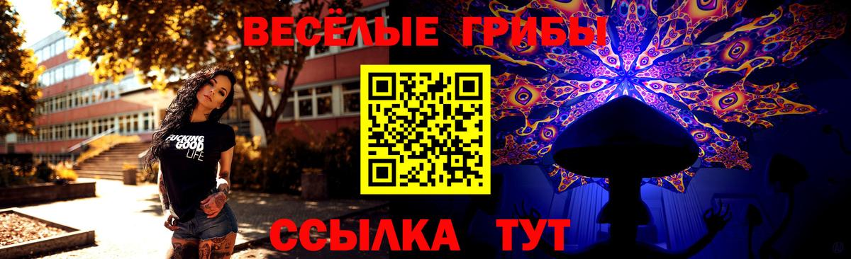 Сухой Лог  купить наркоту  Вход с VPN  Галлюциногенные грибы Magic Shrooms 